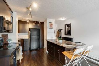 Photo 6: 203 1530 16 Avenue SW in Calgary: Sunalta Apartment for sale : MLS®# A2132912