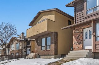 Photo 38: 54 Templeson Crescent NE in Calgary: Temple Detached for sale : MLS®# A1209968
