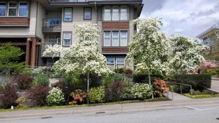 Photo 17: 313 188 W 29TH Street in North Vancouver: Upper Lonsdale Condo for sale in "Vista 29" : MLS®# R2775737
