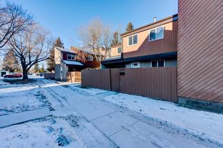 Photo 2: 7130 178 Street NW in Edmonton: Zone 20 Townhouse for sale : MLS®# E4271270