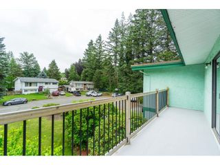 Photo 29: 3383 HENDON Street in Abbotsford: Abbotsford East House for sale : MLS®# R2468157