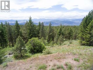 Photo 14: LOT 4 WHITETAIL Place in Osoyoos: Vacant Land for sale : MLS®# 198188