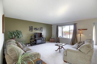 Photo 9: 210 West Creek Bay: Chestermere Duplex for sale : MLS®# A1014295
