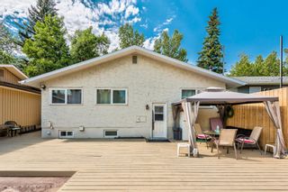 Photo 49: 484 Midridge Drive SE in Calgary: Midnapore Detached for sale : MLS®# A1135453