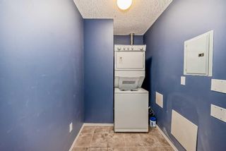 Photo 26: 211 260 Shawville Way SE in Calgary: Shawnessy Apartment for sale : MLS®# A2129170