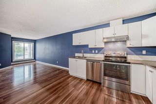 Photo 10: 211 260 Shawville Way SE in Calgary: Shawnessy Apartment for sale : MLS®# A2129170