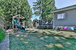 Photo 19: 11575 97 Avenue in Surrey: Royal Heights House for sale (North Surrey)  : MLS®# R2198554
