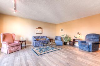 Photo 8: 301 1229 Cameron Avenue SW in Calgary: Lower Mount Royal Apartment for sale : MLS®# A1095141
