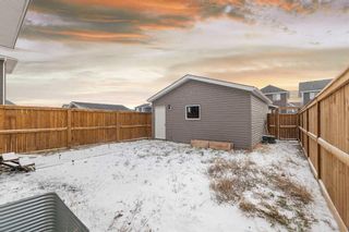 Photo 32: 344 Bayview Street SW: Airdrie Detached for sale : MLS®# A2124477