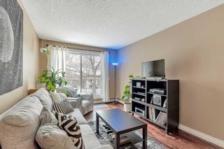 Photo 14: 306 420 3 Avenue NE in Calgary: Crescent Heights Apartment for sale : MLS®# A2106683