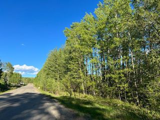 Photo 7: LOT A WRIGHT Road in Charlie Lake: Fort St. John - Rural W 100th Land for sale (Fort St. John)  : MLS®# R2700046