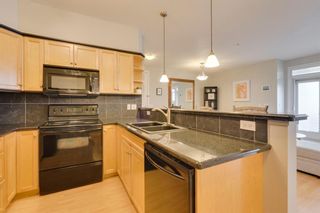 Photo 13: 207 303 19 Avenue SW in Calgary: Mission Apartment for sale : MLS®# A1218312
