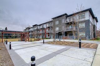 Photo 21: 4302 5305 32 Avenue SW in Calgary: Glenbrook Apartment for sale : MLS®# A1165571