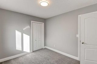 Photo 35: 240 Royal Birch Mews NW in Calgary: Royal Oak Detached for sale : MLS®# A2091681