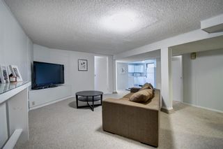 Photo 23: 503 35 Street NW in Calgary: Parkdale Detached for sale : MLS®# A1237524