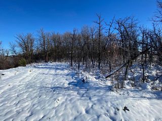 Photo 14: 0 Henderson Highway in St Clements: Vacant Land for sale : MLS®# 202329778