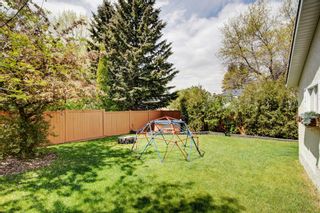 Photo 25: 5568 Dalhart Hill NW in Calgary: Dalhousie Detached for sale : MLS®# A1216173