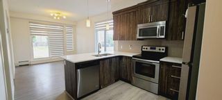 Photo 5: 104 6703 New Brighton Avenue SE in Calgary: New Brighton Apartment for sale : MLS®# A2078572