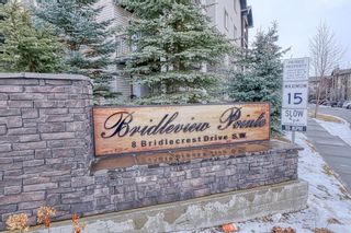 Main Photo: 2308 8 Bridlecrest Drive SW in Calgary: Bridlewood Apartment for sale : MLS®# A2021490