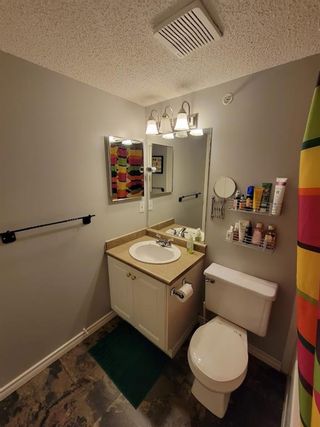Photo 32: 2413 6224 17 Avenue SE in Calgary: Red Carpet Apartment for sale : MLS®# A1196294