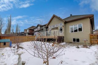 Photo 4: 229 Elgin Estates Park SE in Calgary: McKenzie Towne Detached for sale : MLS®# A1184390