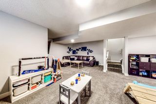 Photo 42: 27 Wolf Willow Boulevard SE in Calgary: C-281 Semi Detached (Half Duplex) for sale : MLS®# A2020421