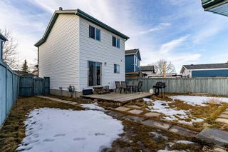 Photo 23: 133 Martin Crossing Crescent NE in Calgary: Martindale Detached for sale : MLS®# A2113059