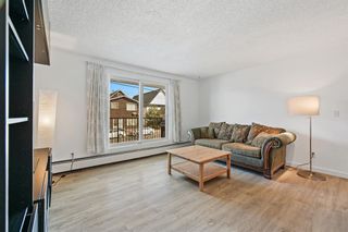 Photo 9: 202 647 1 Avenue NE in Calgary: Bridgeland/Riverside Apartment for sale : MLS®# A1193221