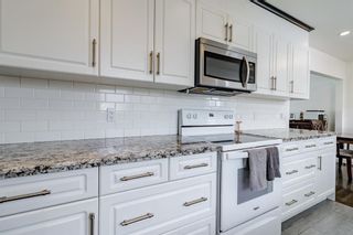 Photo 20: 1832 27 Avenue NW in Calgary: Capitol Hill Detached for sale : MLS®# A2125880