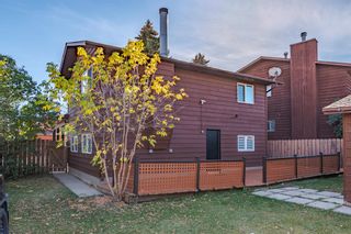 Photo 20: 455 Templeton Road NE in Calgary: Temple Detached for sale : MLS®# A2047386