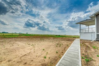 Photo 4: 233001 Range Road 250: Rural Wheatland County Detached for sale : MLS®# A2052555