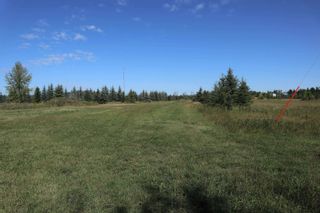 Photo 7: Hwy 622 RR 15: Rural Leduc County Rural Land/Vacant Lot for sale : MLS®# E4261453