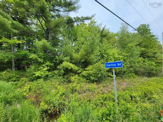 Photo 4: Lot 15 Charlton Road in West Springhill: Annapolis County Vacant Land for sale (Annapolis Valley)  : MLS®# 202400082