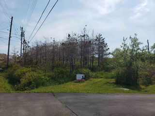 Photo 1: 142 Whitman Street in Canso: 303-Guysborough County Vacant Land for sale (Highland Region)  : MLS®# 202114265
