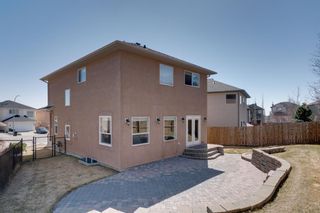 Photo 46: 335 Panorama Hills Terrace NW in Calgary: Panorama Hills Detached for sale : MLS®# A1092734