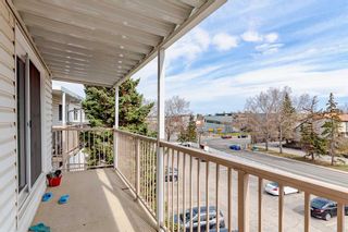 Photo 14: 401 3420 50 Street NW in Calgary: Varsity Apartment for sale : MLS®# A2127023