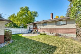 Photo 10: 3604 Chippendale Drive NW in Calgary: Charleswood Detached for sale : MLS®# A2003810