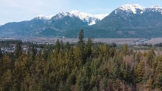 Photo 5: 40782 PERTH Drive in Squamish: Garibaldi Highlands Land for sale : MLS®# R2641258