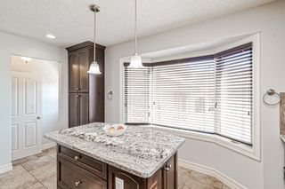 Photo 15: 1220 Berkley Drive NW in Calgary: Beddington Heights Detached for sale : MLS®# A2033634