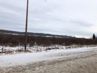 Photo 3: Hwy 28 north of Twp 564: Rural Sturgeon County Rural Land/Vacant Lot for sale : MLS®# E4272961