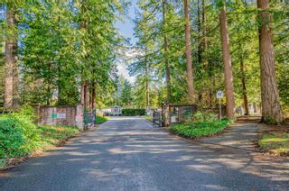 Photo 4: 16 9080 198 Street in Langley: Walnut Grove Manufactured Home for sale in "FOREST GREEN ESTATES" : MLS®# R2759572
