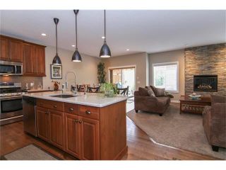 Photo 3: 100 CHAPARRAL VALLEY Terrace SE in Calgary: Chaparral House for sale : MLS®# C4086048