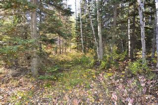 Photo 15: Lot 8 GLACIER VIEW Road in Smithers: Smithers - Rural Land for sale in "Silvern Estates" (Smithers And Area (Zone 54))  : MLS®# R2410914