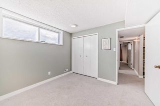 Photo 46: 440 Cantrell Drive SW in Calgary: Canyon Meadows Detached for sale : MLS®# A2113412
