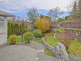 Photo 19: 3459 Waterloo Pl in VICTORIA: SE Mt Tolmie House for sale (Saanich East)  : MLS®# 755573