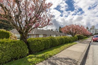 Photo 34: 35 2938 TRAFALGAR Street in Abbotsford: Central Abbotsford Townhouse for sale : MLS®# R2867307