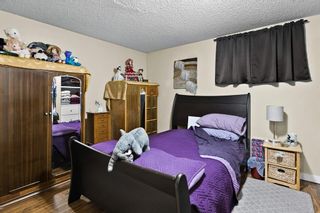 Photo 26: 6212 28 Avenue NE in Calgary: Pineridge Detached for sale : MLS®# A2054092