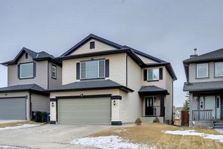 Photo 42: 6 Citadel Estates Heights NW in Calgary: Citadel Detached for sale : MLS®# A1175507