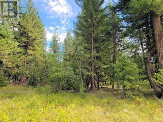 Photo 6: 5571 BIRCHWOOD ROAD in 100 Mile House: Vacant Land for sale : MLS®# R2765353