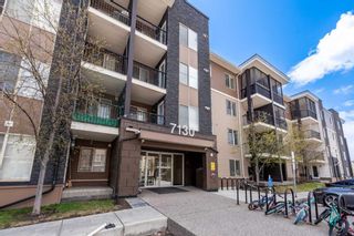 Photo 4: 305 7130 80 Avenue NE in Calgary: Saddle Ridge Apartment for sale : MLS®# A2129427
